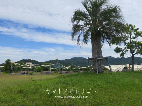 蒲郡_e0394031_05111447.jpg