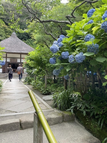鎌倉_c0201749_00065625.jpeg