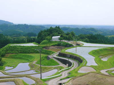 菊池水源棚田米　田植え(2021)　後編：田植え後の様子_a0254656_17182277.jpg