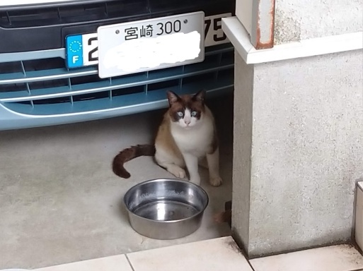 ある日のラグさん_f0197985_16571404.jpg