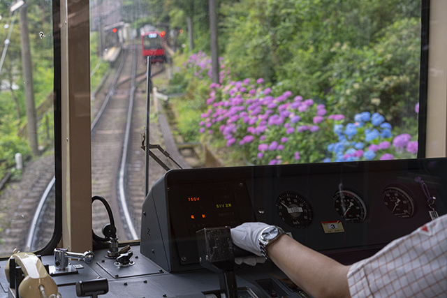 箱根登山鉄道 あじさい電車 宮ノ下 : エーデルワイスブログ