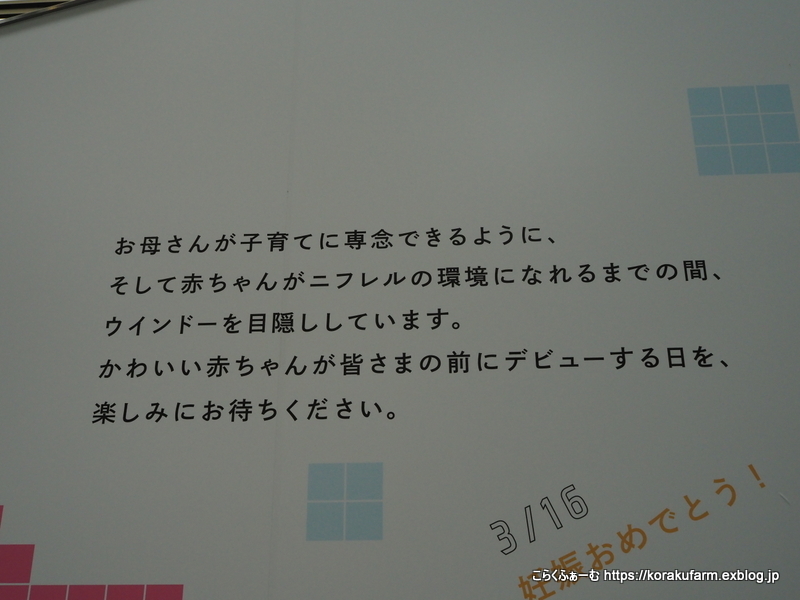 フルフルちゃん モトモトくんおめでとう コビトカバの赤ちゃん誕生 生後８日目 こらくふぁーむ
