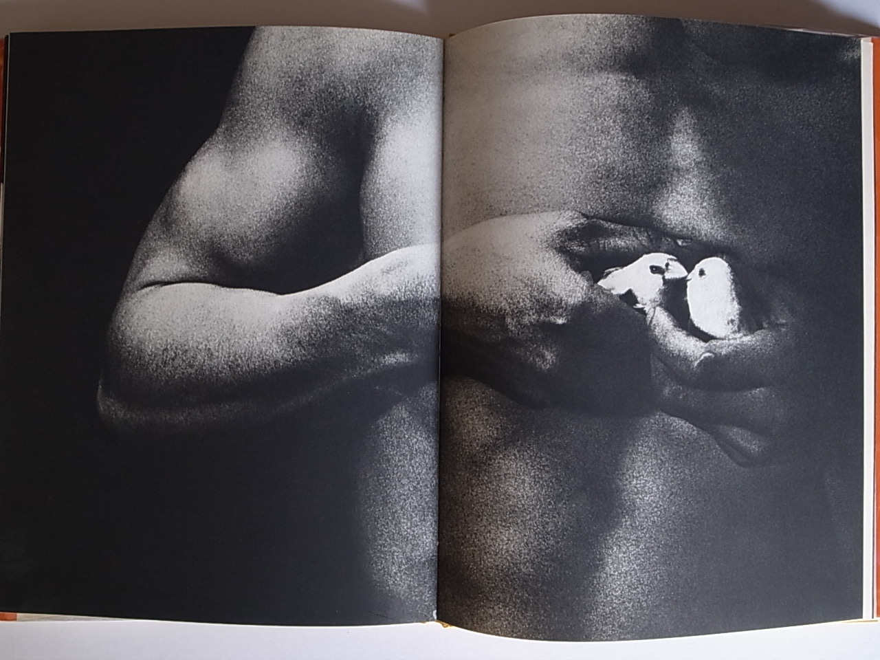 おとこと女 細江英公写真集 / MAN AND WOMAN BY EIKOH HOSOE おとこと女 細江英公写真集 / MAN AND WOMAN BY EIKOH HOSOE