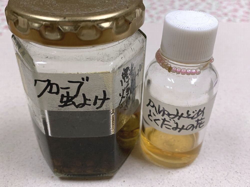 ☆蚊がとても苦手なので☆_c0092953_23523970.jpg