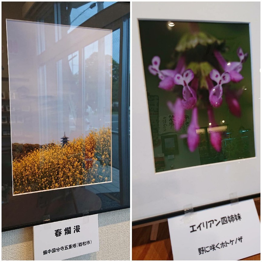 写真_b0328361_23265133.jpg