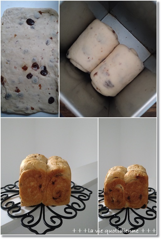 【レーズン角食】失敗しても僕が食べてあげるから！とコロナ陰性！？だった姫は再び…_a0348473_06580131.jpg