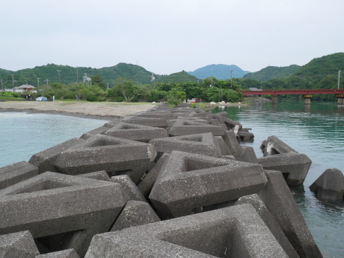 湯川海岸、汽水域でビーチクリーン_f0054677_08414174.jpg