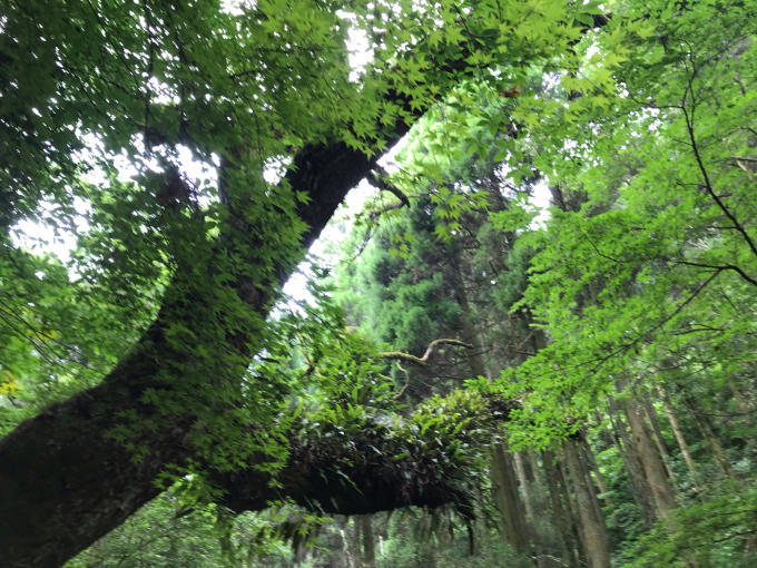 私的ブログ…長い長いツーリングブログですが、お付き合いよろしくお願いします…編_d0132688_19165515.jpg