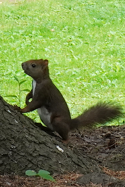 artigana-gのSAPPORO・293_b0055196_15493493.jpg