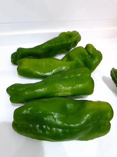 食べたかった ピーマンの肉詰め とはかなり違うけれど メイフェの幸せ 美味しいいっぱい In 台湾 食べたかった ピーマンの肉詰め とはかなり違うけれど メイフェの幸せ 美味しいいっぱい In 台湾