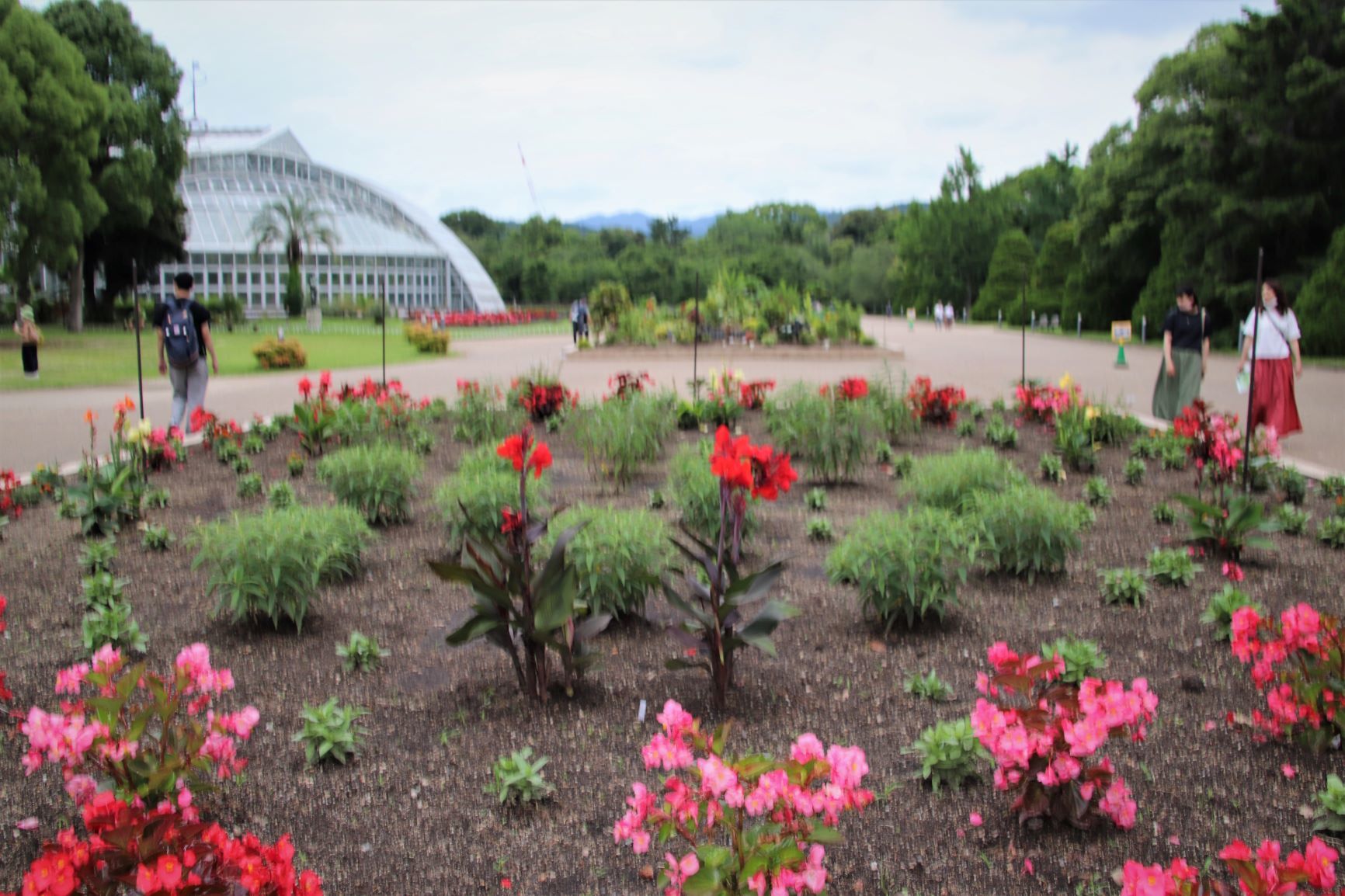 植物園花散策_e0048413_20291208.jpg