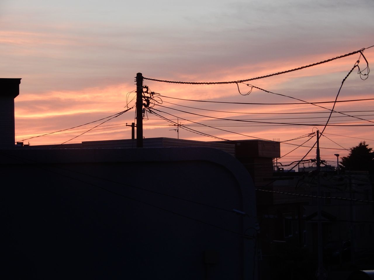 28.6℃_c0025115_21312875.jpg