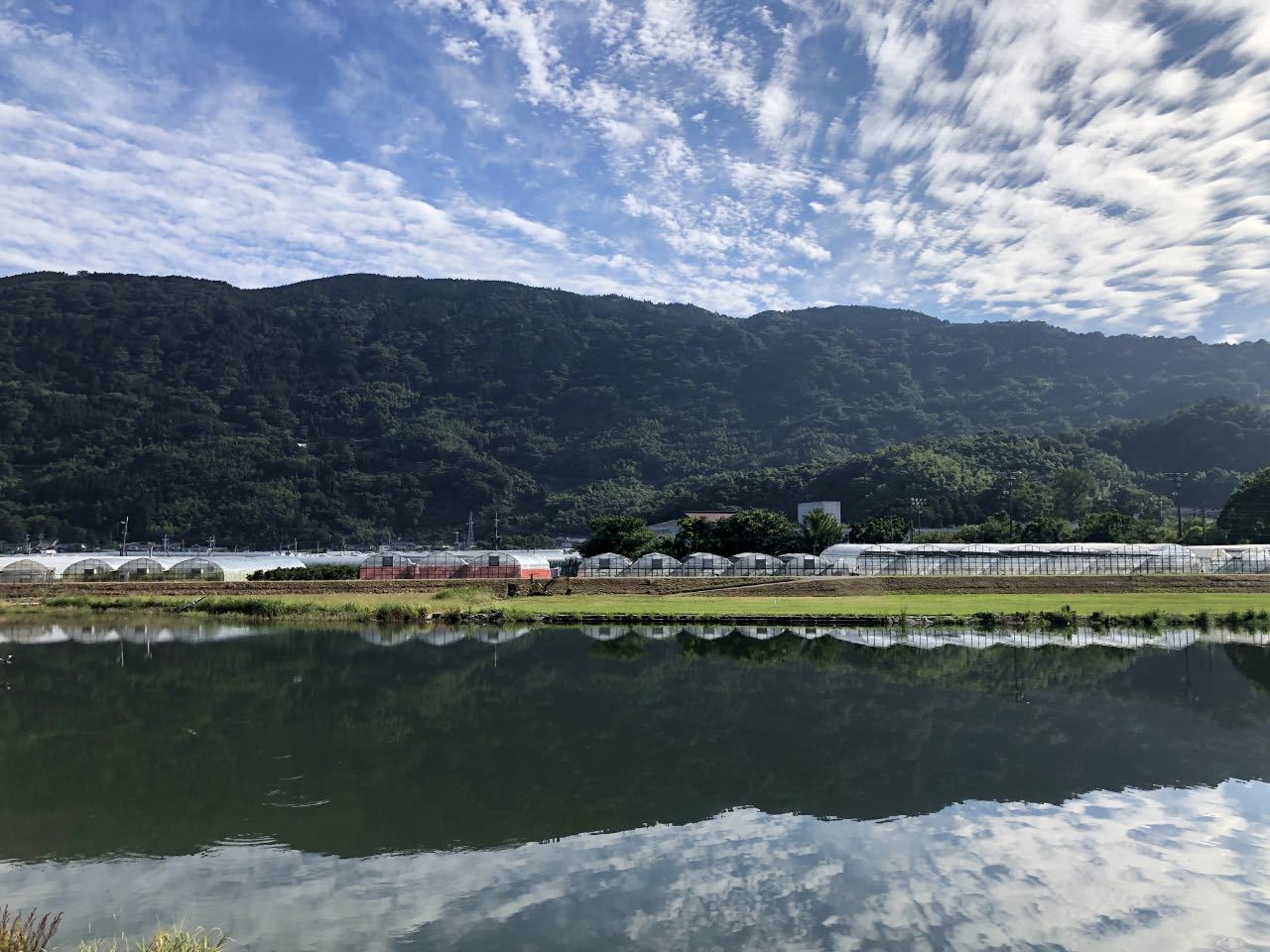 玉島神社１　佐賀県唐津市浜玉町_b0023047_16205860.jpg