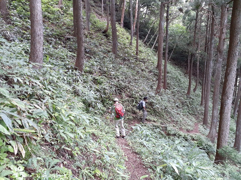 蓮如山(328m)・鷹落山(494m)　会山行下見_a0382352_17013621.jpg