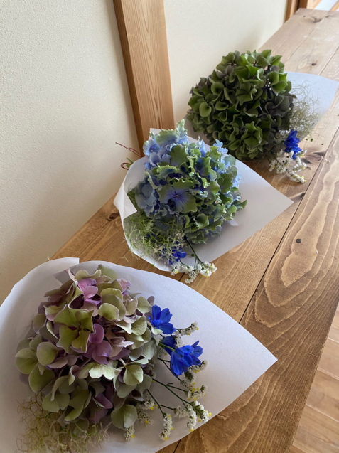 紫陽花守りレッスン 優しき花を君の手に