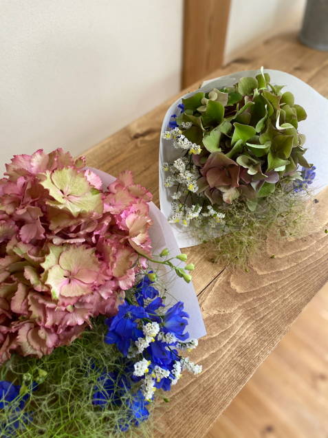 紫陽花守りレッスン 優しき花を君の手に
