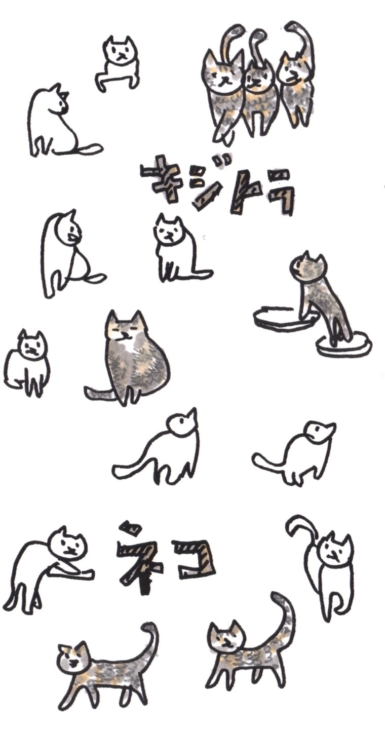 完成!!けいかく中「Tabby house」_f0324766_18424840.jpeg