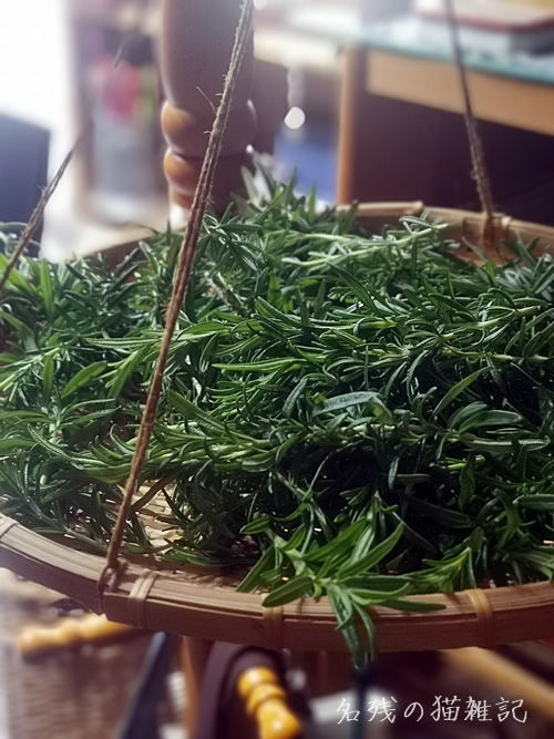 ローズマリーチンキを作り うどんこ病対策に重層オイルスプレーを作る びすとろ ラ メール の豚肉生姜焼にありつける幸せを再認識した件 名残りの猫雑記