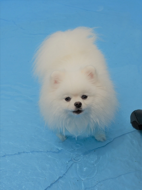 若いっていいなあ_d0360206_18512211.jpg