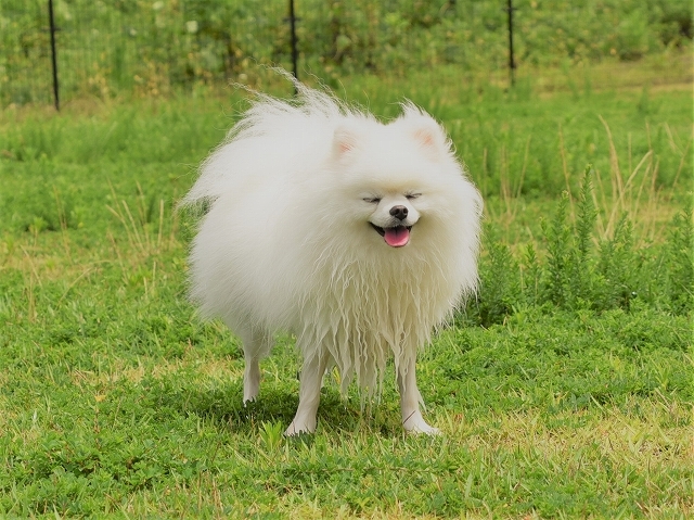 若いっていいなあ_d0360206_18512376.jpg