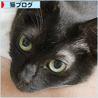 イレーネの容体_a0389088_11030210.jpg