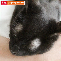 イレーネの容体_a0389088_11030269.jpg