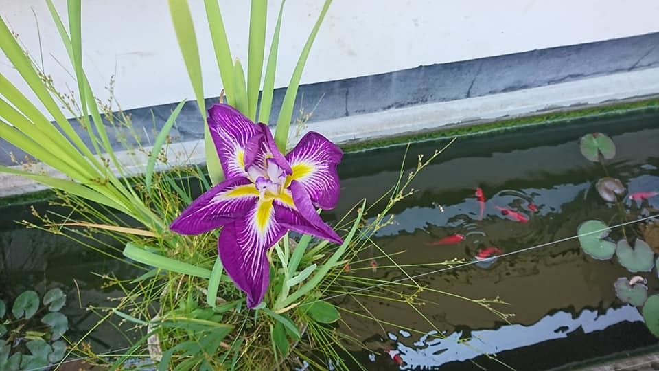 いい週末だったようです。_e0046190_18241139.jpg