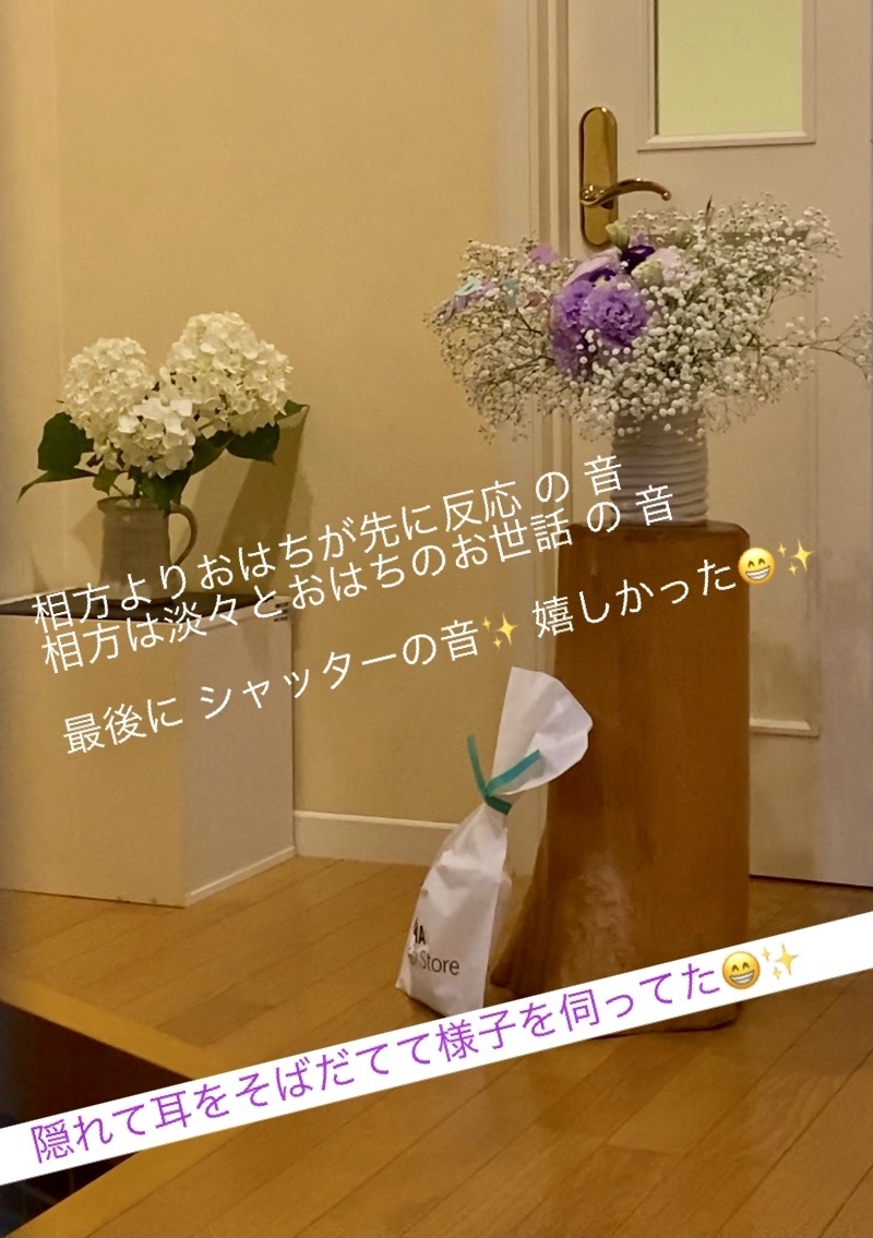 セール チュニック Esche エッシュ のファッション シアーコットンシャツワンピース チュニック セール チュニック Esche エッシュ のファッション シアーコットンシャツワンピース チュニック