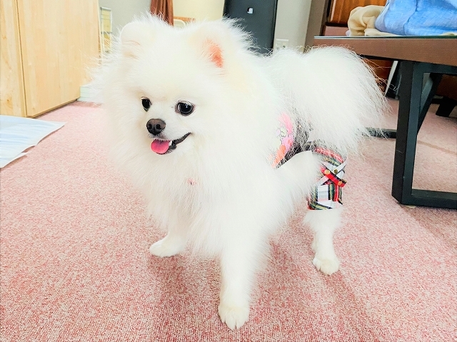 今が変革の時_d0360206_19013506.jpg