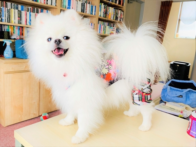 今が変革の時_d0360206_19013591.jpg