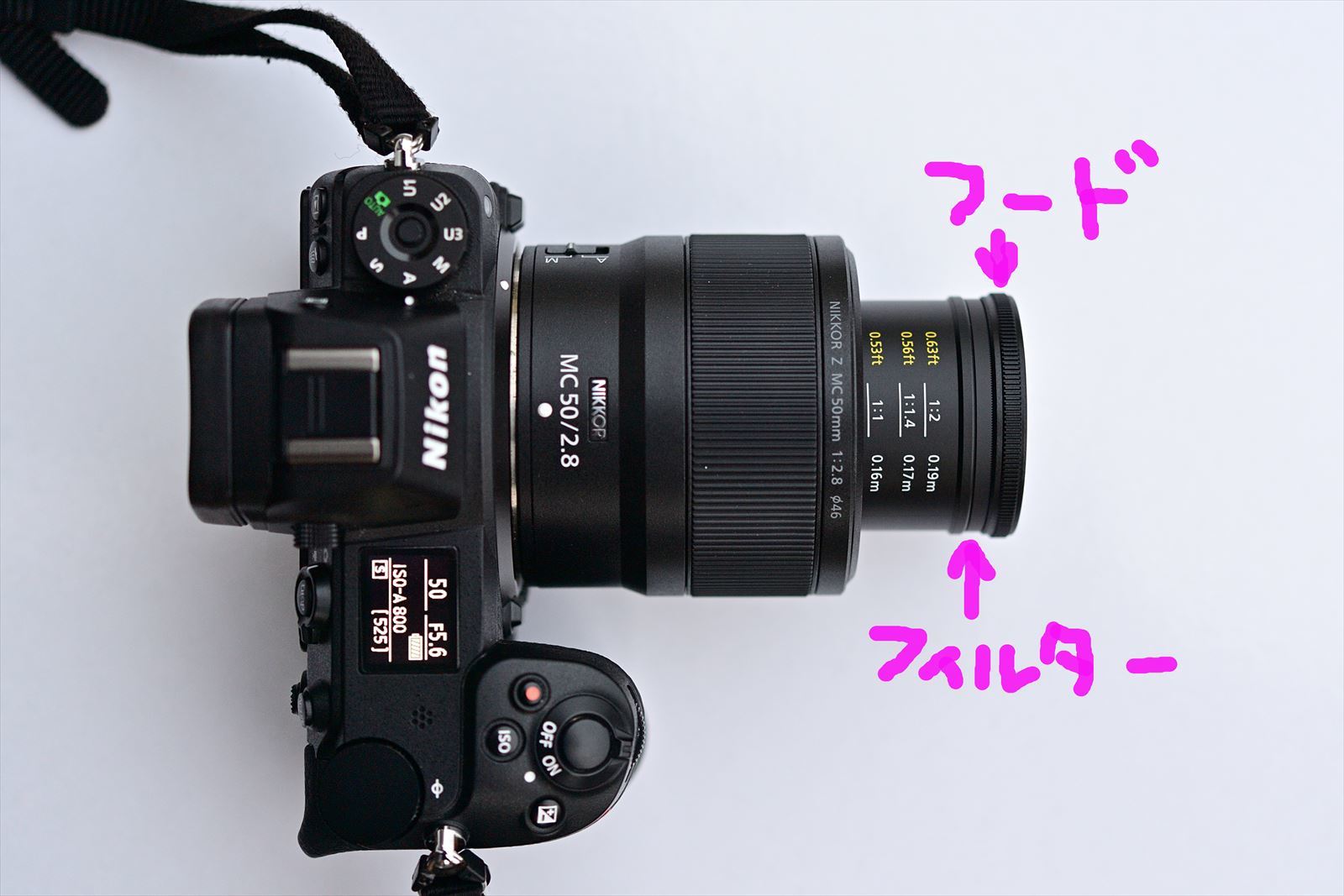 Zのマクロがやってきた! NIKKOR Z MC 50mm f/2.8 : やぁやぁ。 Zのマクロがやってきた! NIKKOR Z MC 50mm f/2.8 : やぁやぁ。