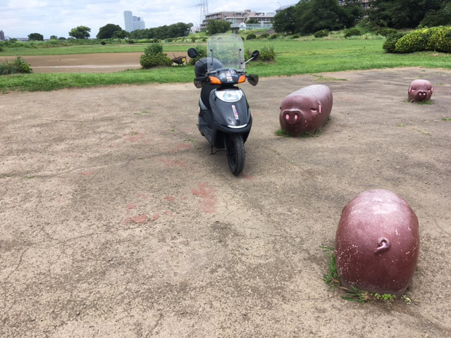 第11常夏号 進捗状況_f0203027_14405764.jpg