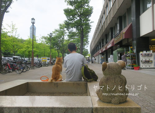 コアラと_e0394031_06152074.jpg