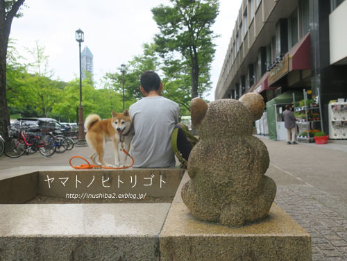 コアラと_e0394031_06152612.jpg