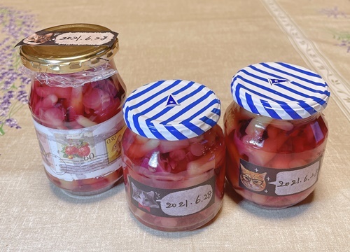 みょうがの茎の甘酢漬け やっぱり旅が好き