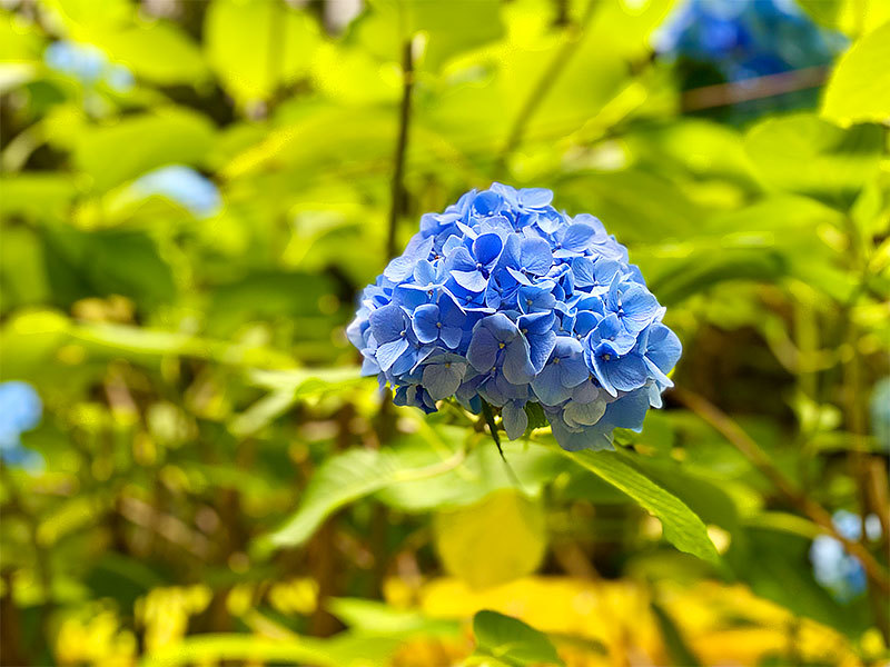 久しぶりに持越峠へ あの角を曲がれば