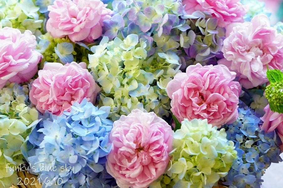 庭のブーケ 薔薇と紫陽花のころ 6月10日 Funky S Blue Sky