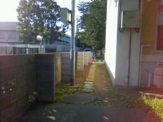子供たちを行かせるか悩むオリパラ2020_f0291565_09525660.jpg