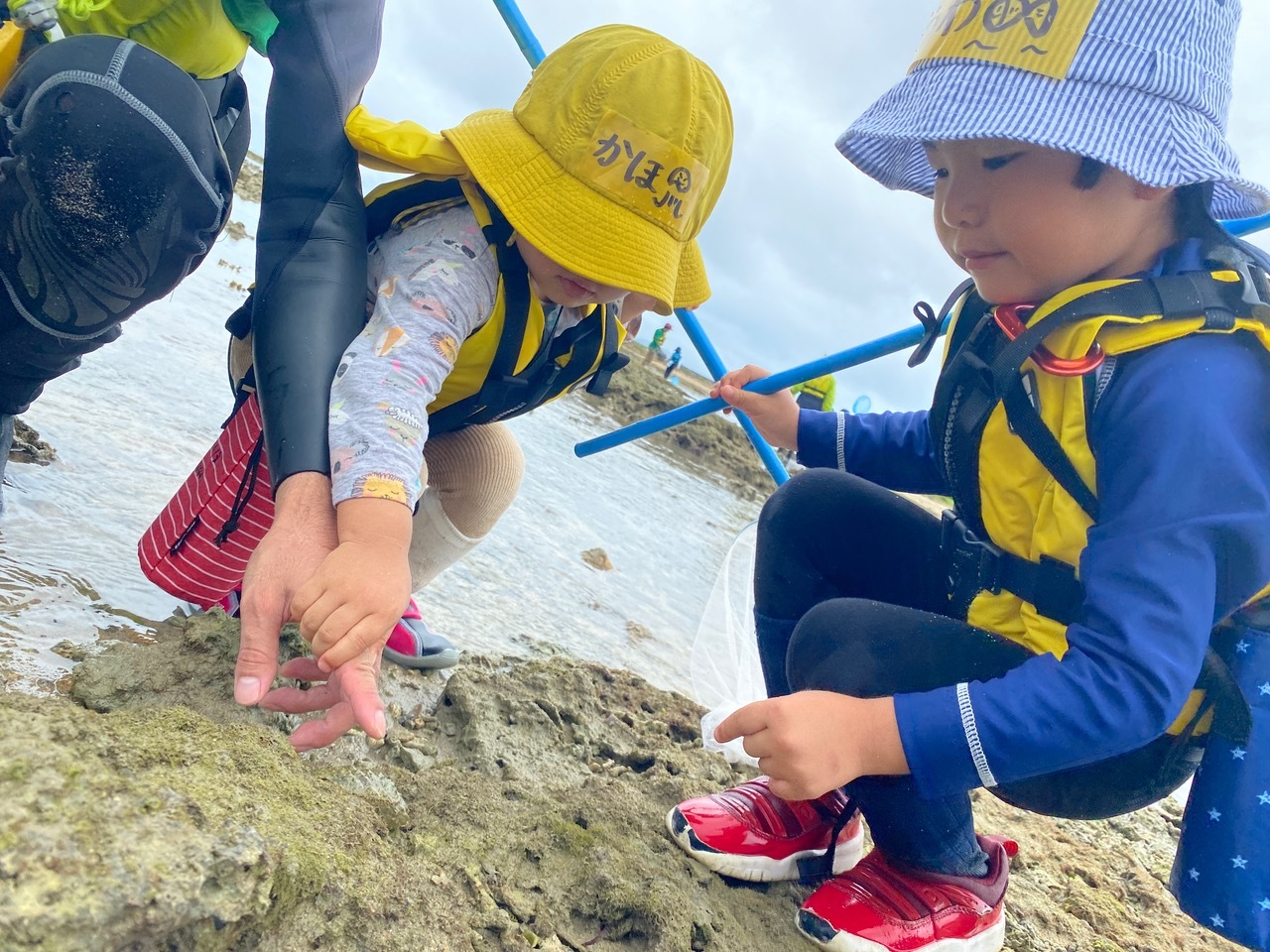 青空ようちえん〔週末〕海辺あそび!(6/27)雨が降る日はその時にしかできない海辺遊びを楽しもう!雲の合間をみて海に出発だ!_d0363878_20023627.jpeg
