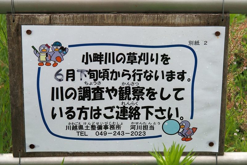小畔川便り(工事のお知らせ:2021/6/20)_f0031682_09565307.jpg