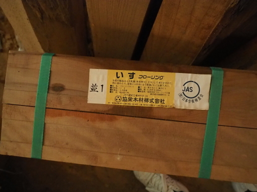 いすのき　イスノキ　_f0197985_19522129.jpg