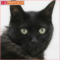 我が家で二番目に大きな猫_a0389088_17064900.jpg