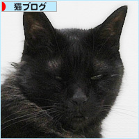 我が家で二番目に大きな猫_a0389088_17064970.jpg