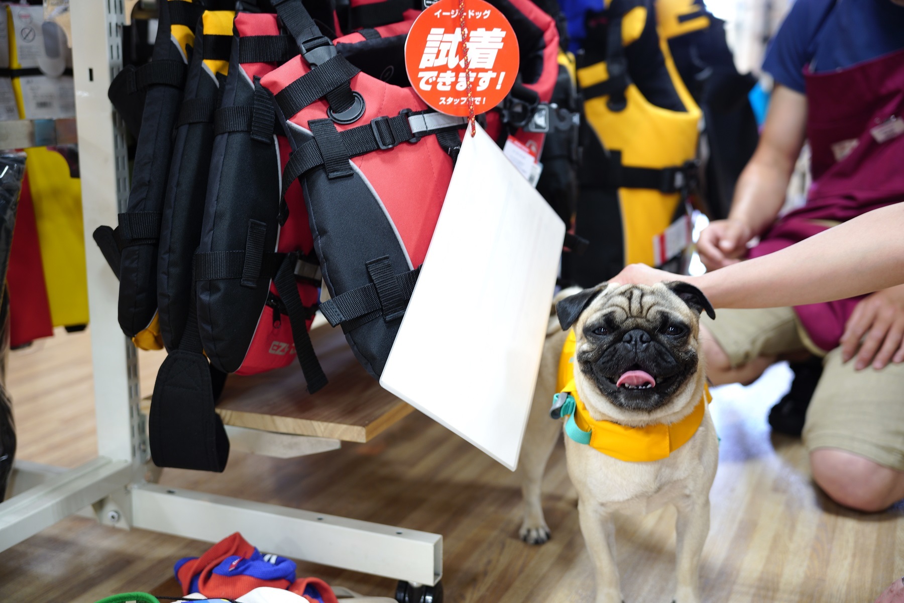 ★★★水遊びにはサングラス!しかも偏光レンズがお勧めです★★★_d0198793_15102689.jpg