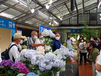 ジャカランダに負けない青色の花_f0203094_16393061.jpg