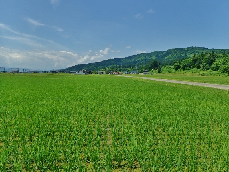 週末の兼業農家は田んぼの水を落としました_c0336902_18092899.jpg