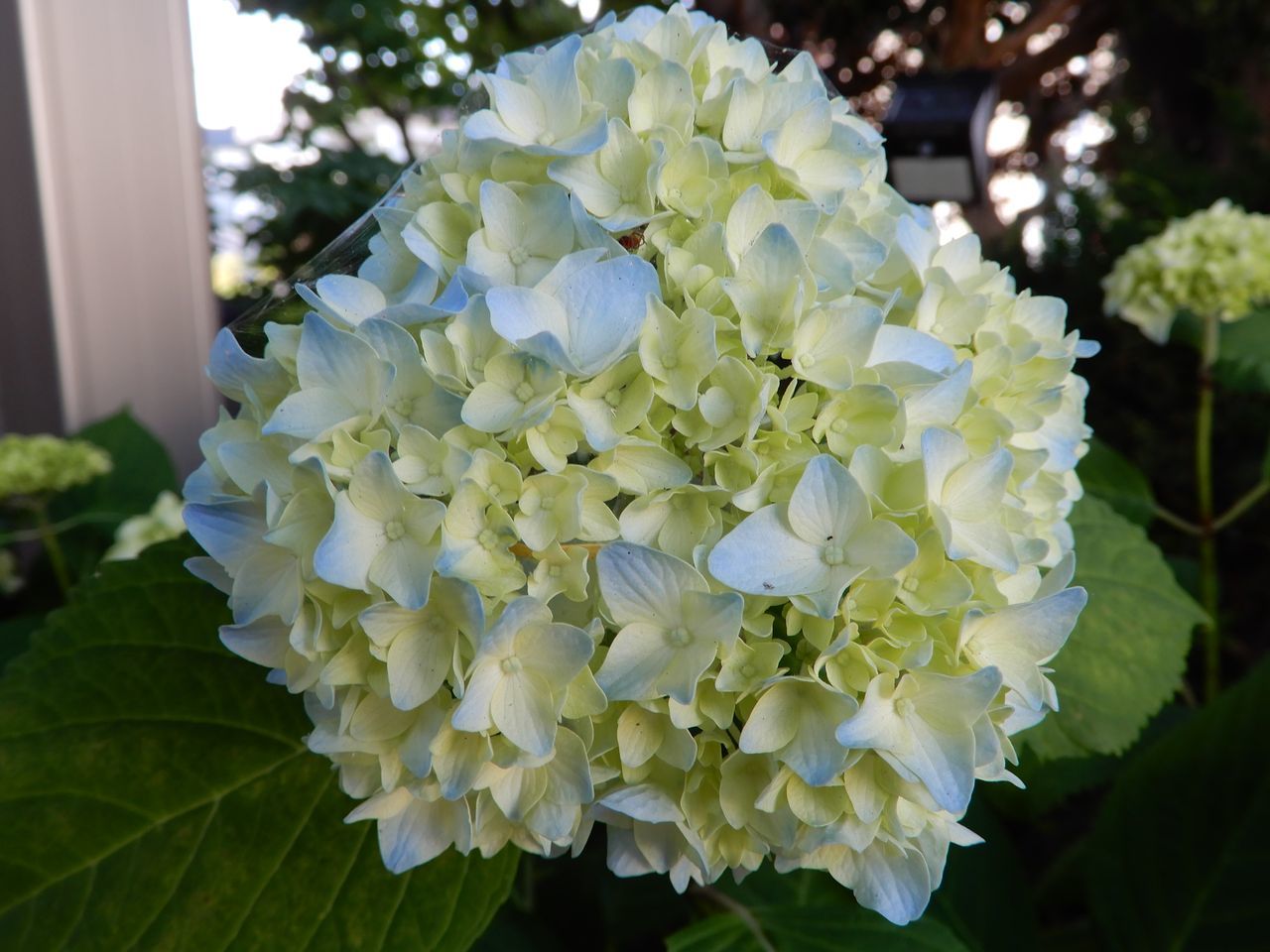 爽やかな夏日_c0025115_21391364.jpg