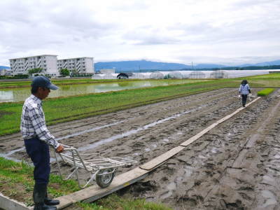 『七城米』 長尾農園 令和3年度の田植えを現地取材!匠は今年も美しすぎる田んぼで育てます! _a0254656_19063921.jpg