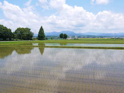 『七城米』 長尾農園 令和3年度の田植えを現地取材!匠は今年も美しすぎる田んぼで育てます! _a0254656_19562433.jpg