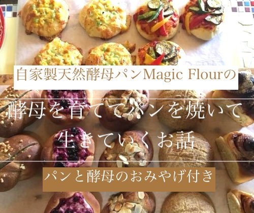 参加者募集7月25日(日)酵母スターターキットとパンのお土産付き*自家製天然酵母パンMagic Flourの酵母を育ててパンを焼くレクチャー_f0129557_15152868.jpg